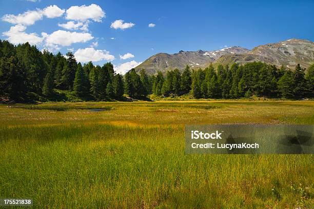 Die Berge Im Sommer Stockfoto und mehr Bilder von Alpen - Alpen, Berg, Berggipfel