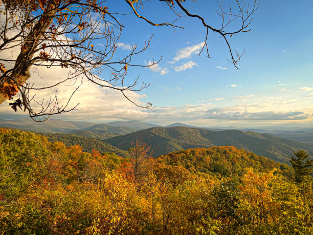 Beautiful fall foliage in Virginia at an overlook.
