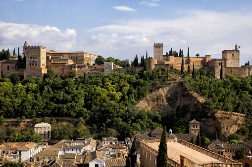 View of Alhambra with Flowers - Granada, Andalusia, Spain