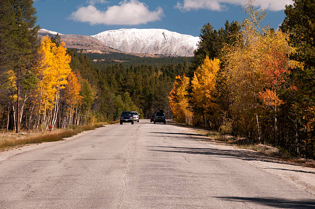 Fall Day in Leadville, Colorado "On the road in Leadville, Colorado during the early fall. Gold and orange aspen line the road and snowcapped mountains are in the background. Image includes bare road which can be used as copyspace without disturbing the natural beauty." leadville stock pictures, royalty-free photos & images