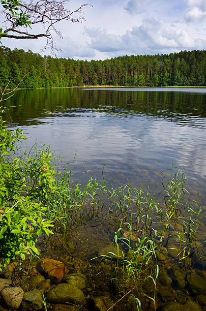 istock Scandinavia Finland Summer Lake 175522672