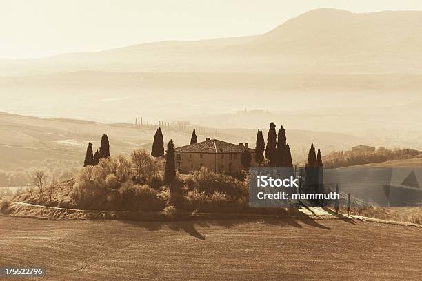 Farm Na Toscana - Fotografias de stock e mais imagens de Agricultura - Agricultura, Ajardinado, Atividade Recreativa