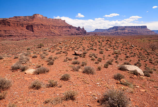 istock Desert landscape in Colorado, USA 175522900