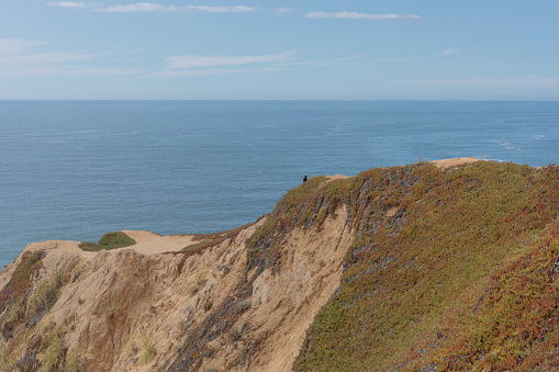 Cliffside of a seacoast near San Francisco in California, U.S.A.