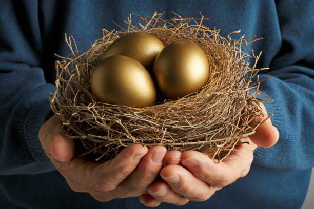 Golden Eggs Senior Citizen holding three golden eggs in a bird's nest. nest egg stock pictures, royalty-free photos & images