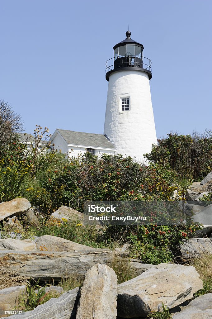 Faro di Pemaquid point - Foto stock royalty-free di Ambientazione esterna