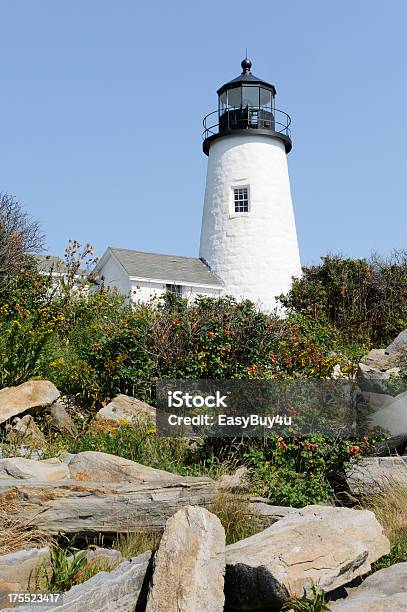 Faro Di Pemaquid Point - Fotografie stock e altre immagini di Ambientazione esterna - Ambientazione esterna, Bianco, Composizione verticale