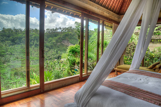 villa de luxo com vista para a floresta - luxury hotel looking through window comfortable - fotografias e filmes do acervo