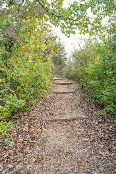 Lookout Mountain on a calm fall day in Colorado. Through our hike on the trails of this mountain we took photos of the beautiful scenery. This was taken with the Nikon DSLR D5200
