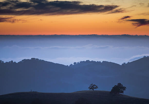 istock Layers of Fog over Hills 175524022