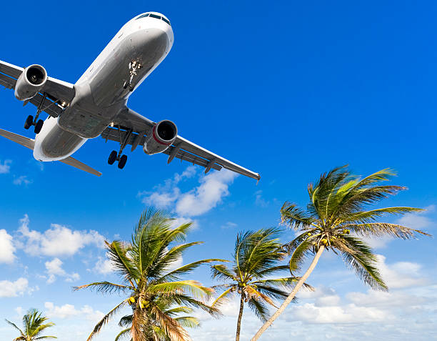 istock Airliner Landing Over Palm Trees 175524080