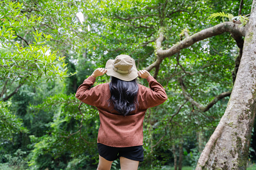 Travel woman holding hat and looking at amazing mountains and forests, wanderlust space travel concept for atmospheric epic moment text