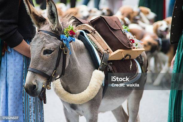 Donkey С Орнаментом — стоковые фотографии и другие картинки Летать - Летать, Юмор, Без людей