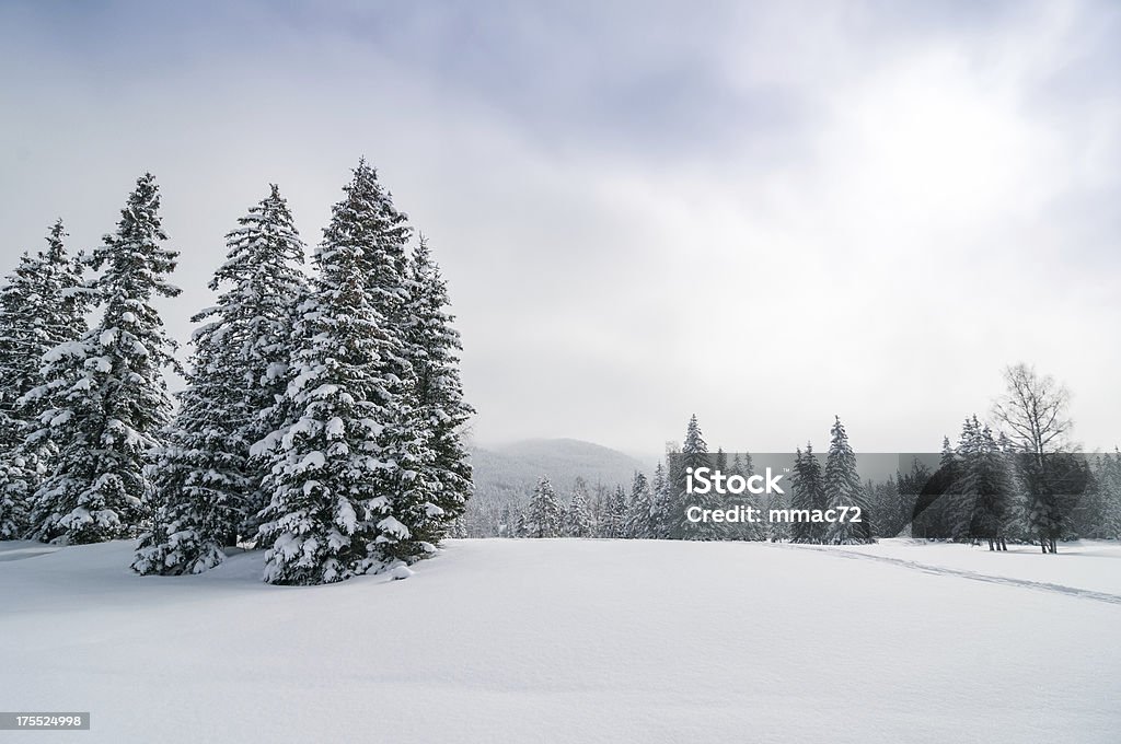 Panorama Schnee winter-Wald Landschaft - Lizenzfrei Alpen Stock-Foto