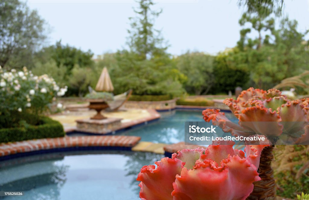 Красивый бассейн на заднем дворе - Стоковые фото Бассейн роялти-фри