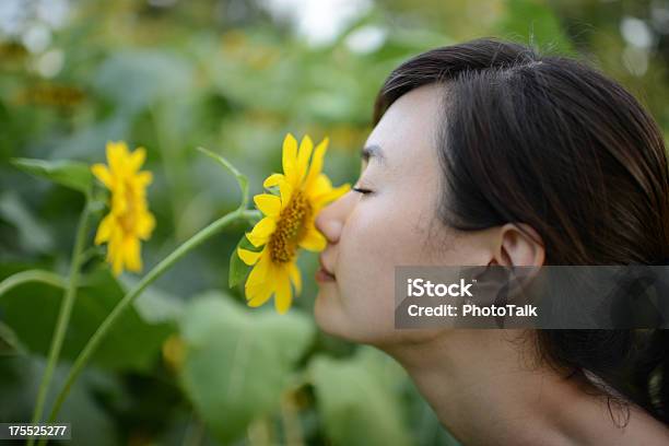 Mujer Que Huele Flores Xxxxxlarge Foto de stock y más banco de imágenes de Oler - Oler, Etnias asiáticas e indias, Flor