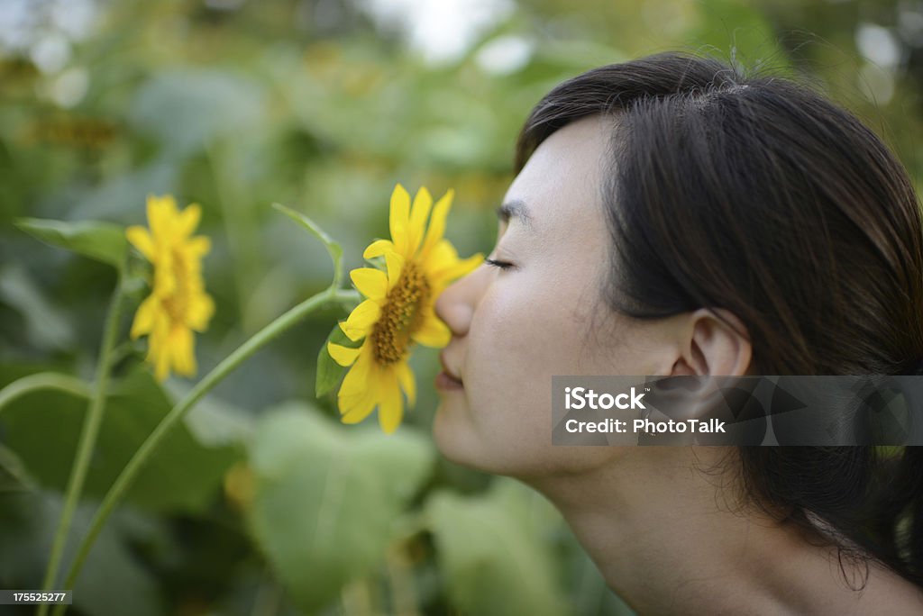 Kobieta Zapach kwiatów-XXXXXLarge - Zbiór zdjęć royalty-free (Wąchać)