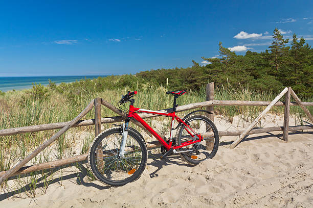 istock Bicycle in the sand path on dunes 175525591