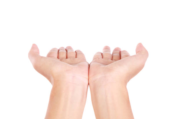 istock Hands open on white background-XXXL 175525668