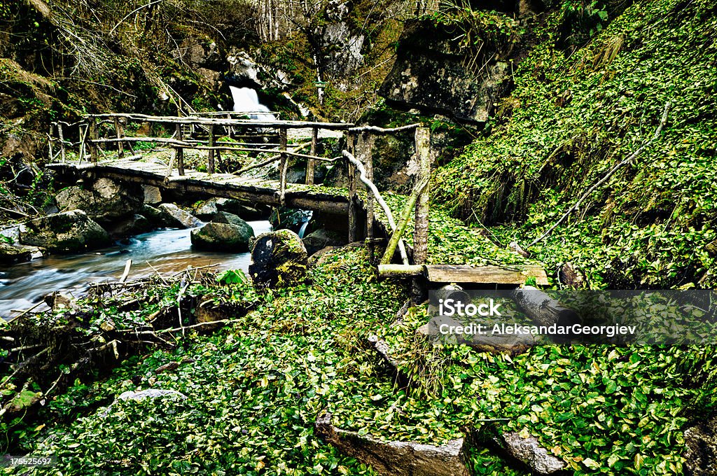 Wooden Bridge Over Smooth River "Wooden Bridges Over Smooth River, Fall in Hidden Rainforest.See more images like this in:" Above Stock Photo