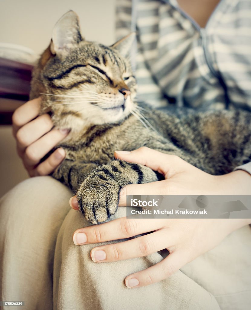 Glückliche Frau und Katze auf dem Bauch liegen ein paar Bahnen. - Lizenzfrei Hauskatze Stock-Foto