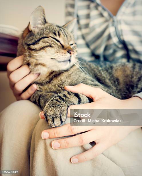 Glückliche Frau Und Katze Auf Dem Bauch Liegen Ein Paar Bahnen Stockfoto und mehr Bilder von Hauskatze