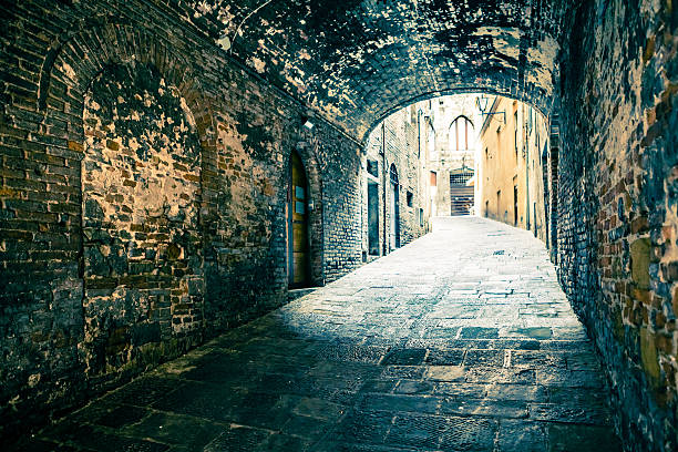 istock Ancient Dark Corridor in Italian Village 175526423