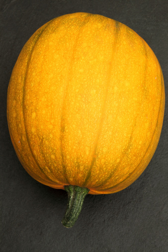Pumpkin in a grey slate background with clipping path
