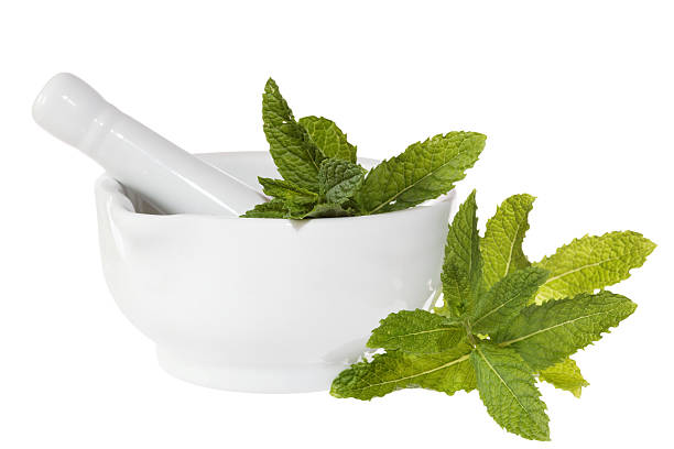 istock peppermint leaves in mortar with pestle isolated on white 175527640
