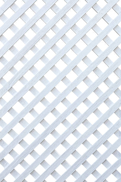 istock White painted garden trellis. 175527724