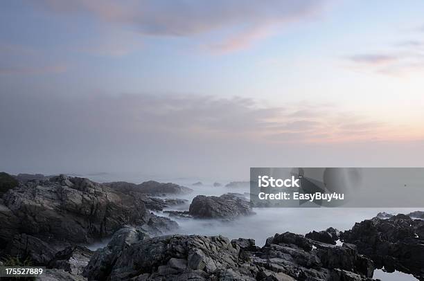 Rocky Coastline Stock Photo - Download Image Now - Coastline, Fog, Maine