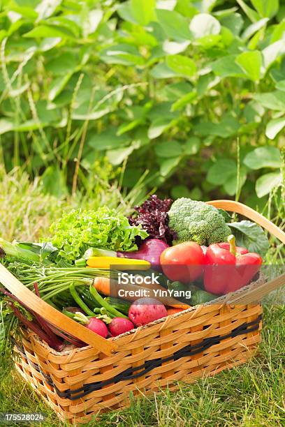 Cesto Di Prodotti Appena Raccolti E Varietà Di Verdure - Fotografie stock e altre immagini di Abbondanza