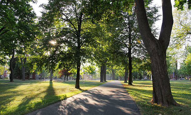 Park Path and Sunlight "Dappled sunlight falls on a park in Kingston, Ontario" kingston ontario photos stock pictures, royalty-free photos & images