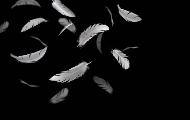 istock Abstract White Bird Feathers Falling in The Air. Feathers Floating on Black Background. 1755283249