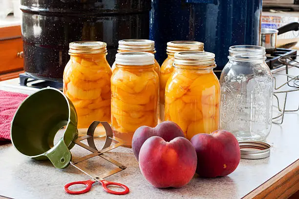"Five canning jar full of peaches, ready for the water bath, along with one empty jar, three fresh peaches, a canning funnel, a jar lifter, and canning pots in the background.All images in this series..."