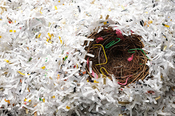 istock Empty bird's nest made with garbage on shredded paper 175529454