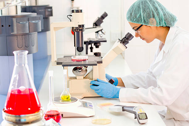 istock Researcher looking to improve medications 175529793