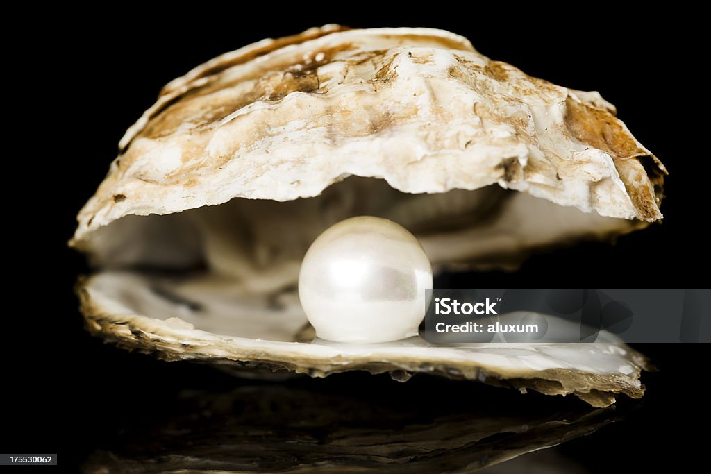 Oyster con perla - Foto stock royalty-free di Guscio di animale