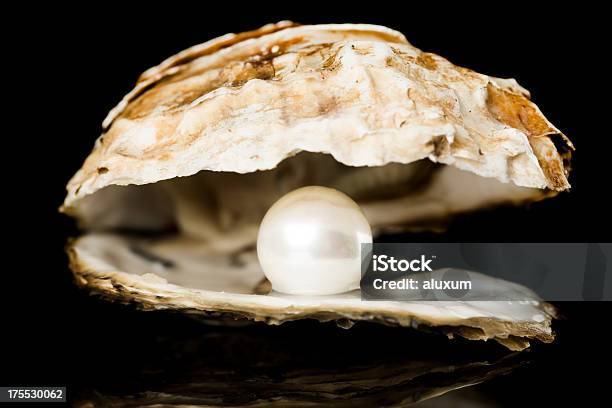 Oyster Con Perla - Fotografie stock e altre immagini di Guscio di animale - Guscio di animale, Perla - Ostrica, Perla - Gioielli