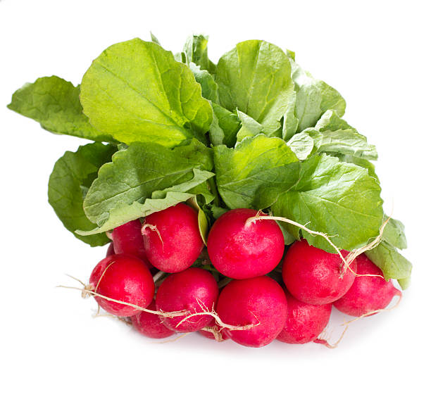 редис - radish bunch red vegetable стоковые фото и изображения
