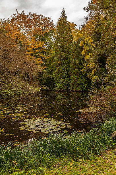 istock Autumn a park bench in Hungary 175530522