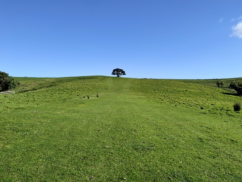 Beautiful view from Shakespear's regional park, New Zealand