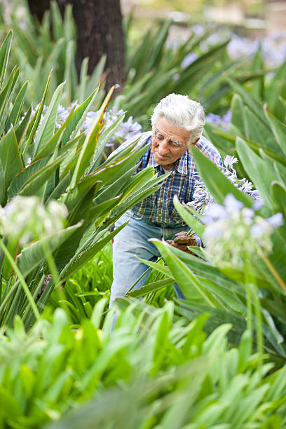 istock Senior man stays active by working in the garden 175530863