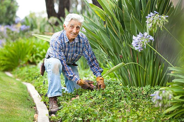 istock Senior man stays active by working in the garden 175531159
