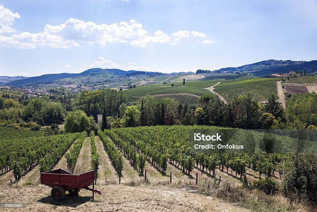 Chianti Vineyard on Sunny Day, Italy Vineyard in Chianti area italy Agricultural Field Stock Photo