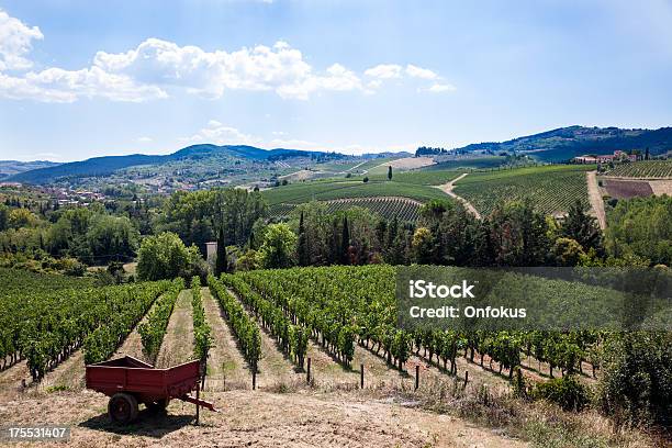 Chianti Vineyard On Sunny Day Italy Stock Photo - Download Image Now - Agricultural Field, Alcohol - Drink, Chianti Region