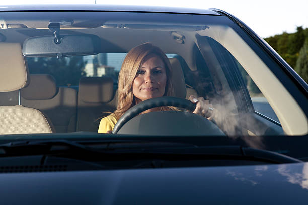 istock Young women in a car 175531981
