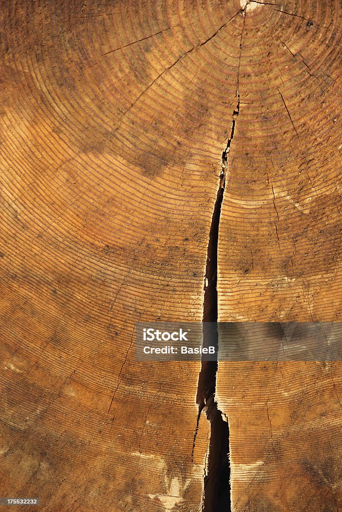 Jährliche Ringe von eine alte Stamm - Lizenzfrei Abgerissen Stock-Foto