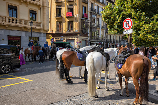 Horses resting in the street, Granada, Spain