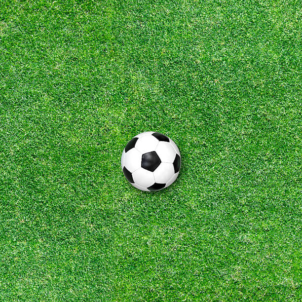 istock Soccer ball on green grass 175532597